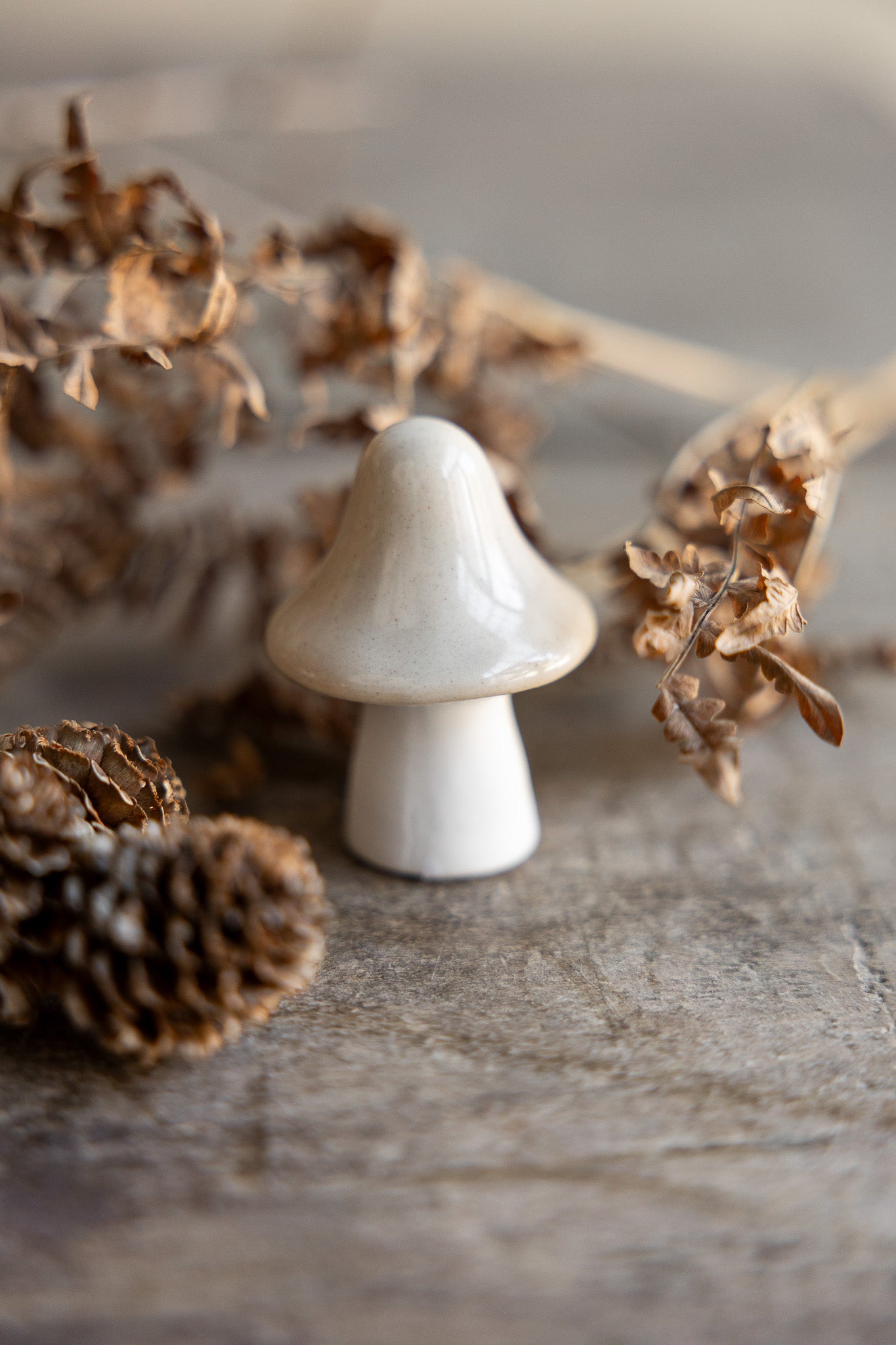 Deko-Pilz Bosten - beige