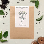 Blumensamen - Anethum Graveolens (Dill)
