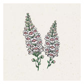 Blumensamen - Antirrhinum majus "Appleblossom" (Löwenmäulchen)