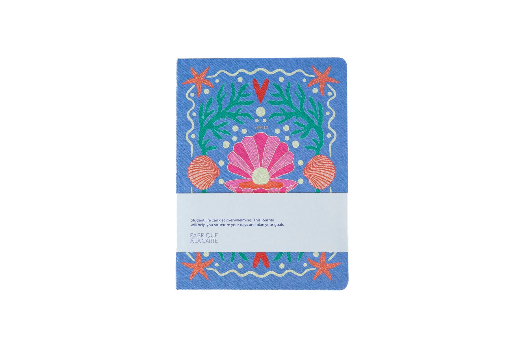 Planer 2026–2027 - Shell-Lavendel