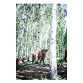 Buch - Eat Finland