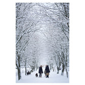 Buch - Happy Homes - Merry Christmas