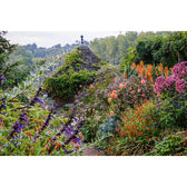 Ich träume von einem Cottage Garten. Verliebt in Rittersporn, Phlox & Fingerhut