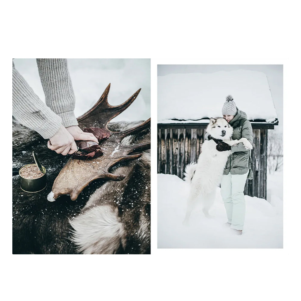 Buch - Recipes and Unforgettable Experiences - Lapland's 8 seasons