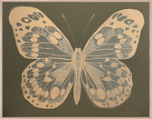 Butterfly - green