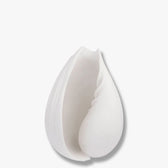 Conch Muschel klein