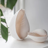 Conch Muschel klein