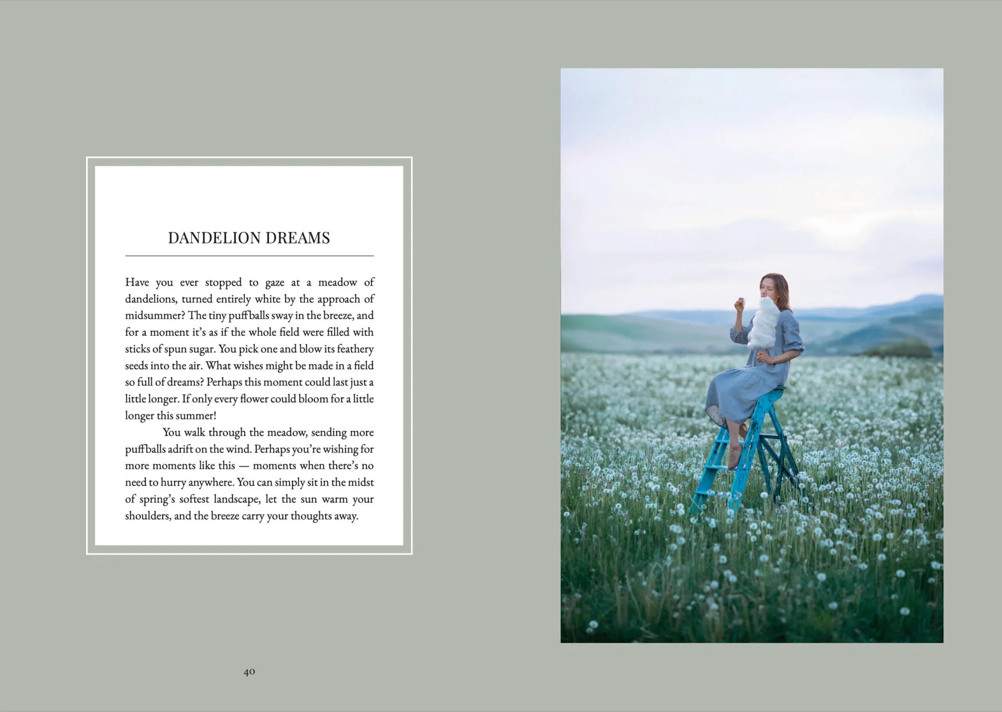 Buch - The Art of Fun Dining