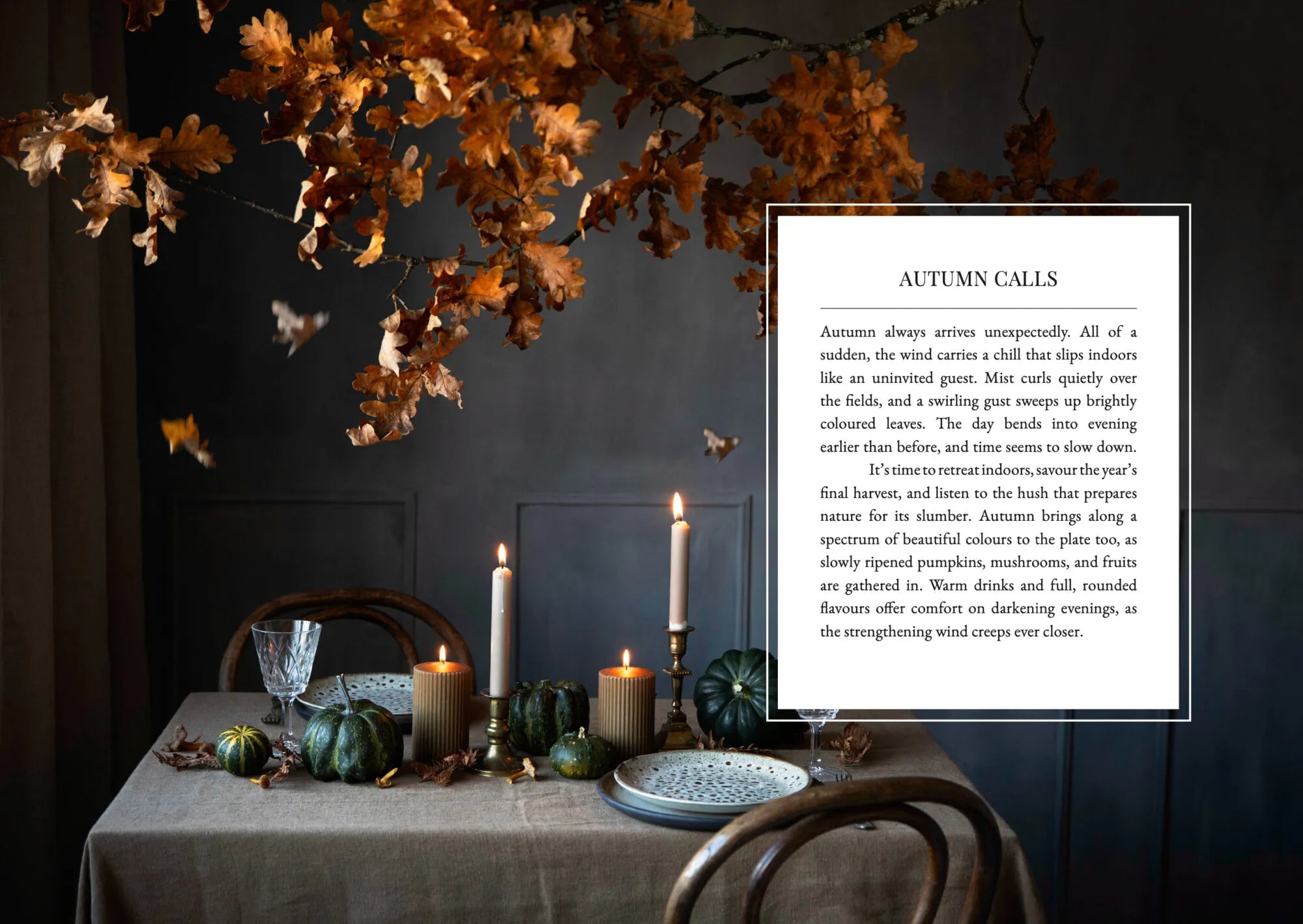 Buch - The Art of Fun Dining