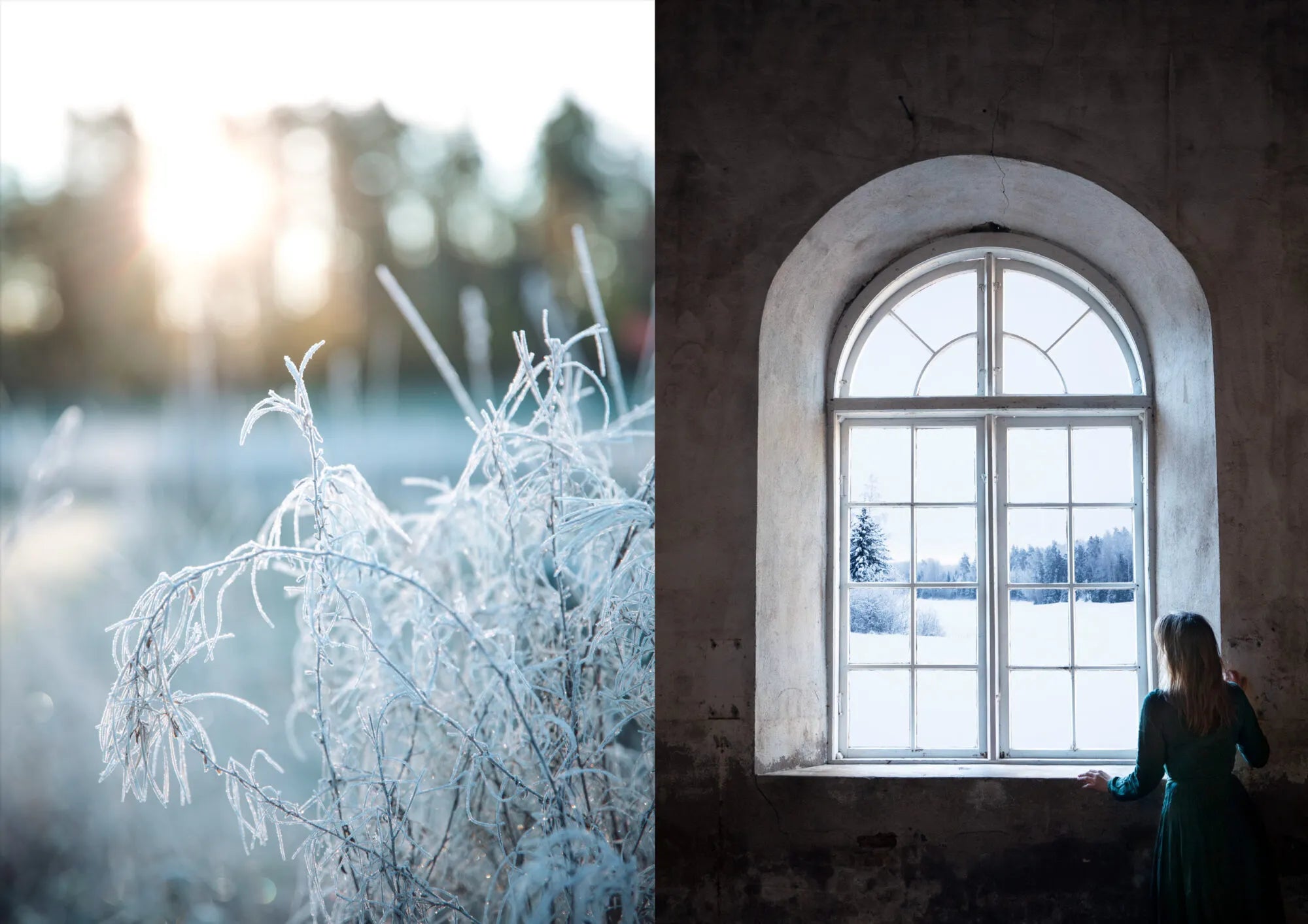 Buch - The Art of Fun Dining