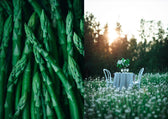 Buch - The Art of Fun Dining