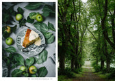 Buch - Nordic Summer Cookbook