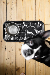 Tablett Dogs