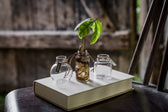 Mini Glasvasen - 3er Set