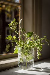Glasvase Bubbles - 18cm
