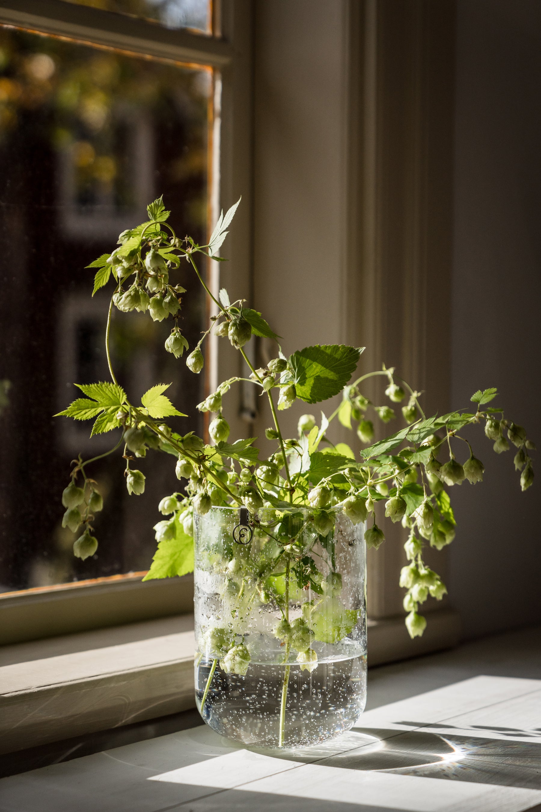 Glasvase Bubbles - 18cm