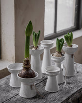 Hyazinthenvase aus Keramik - geriffelt