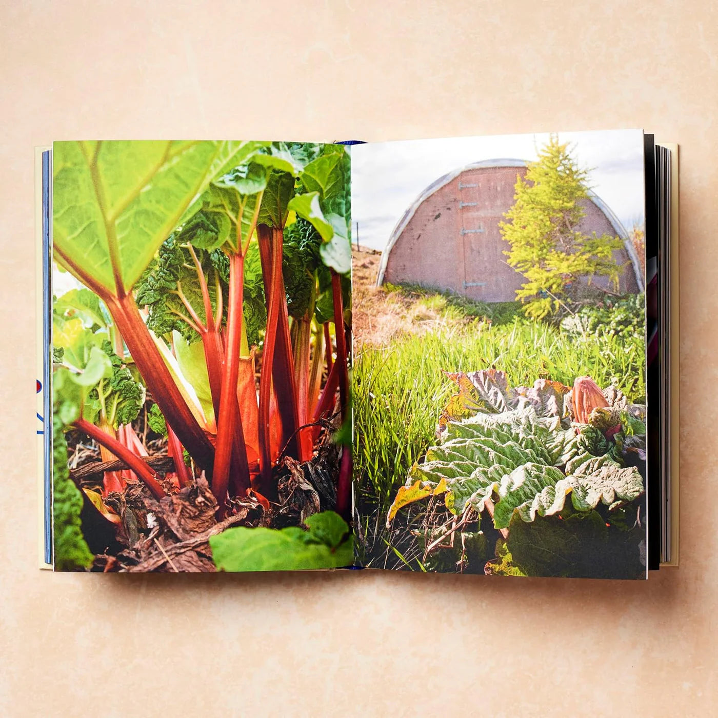 Scandinavia - Recipes and Ingredients - Englisch