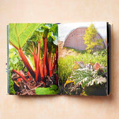 Scandinavia - Recipes and Ingredients - Englisch