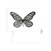 Postkarte - Black Butterfly