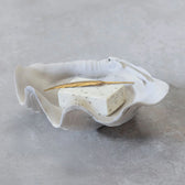 Muschel Shell klein