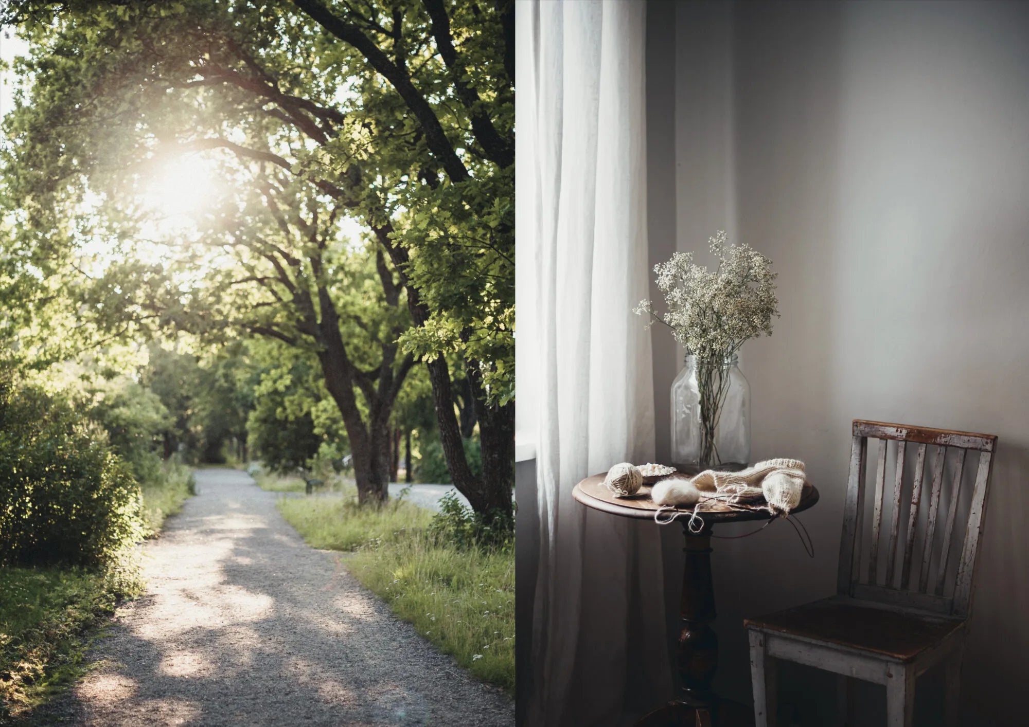 Buch - The Nature Within – Transforming your wellbeing with biophilic design