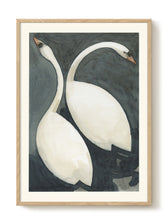Frontalansicht des Kunstdrucks The Swan VI von Jörgen Hansson mit detailreicher Schwan-Illustration