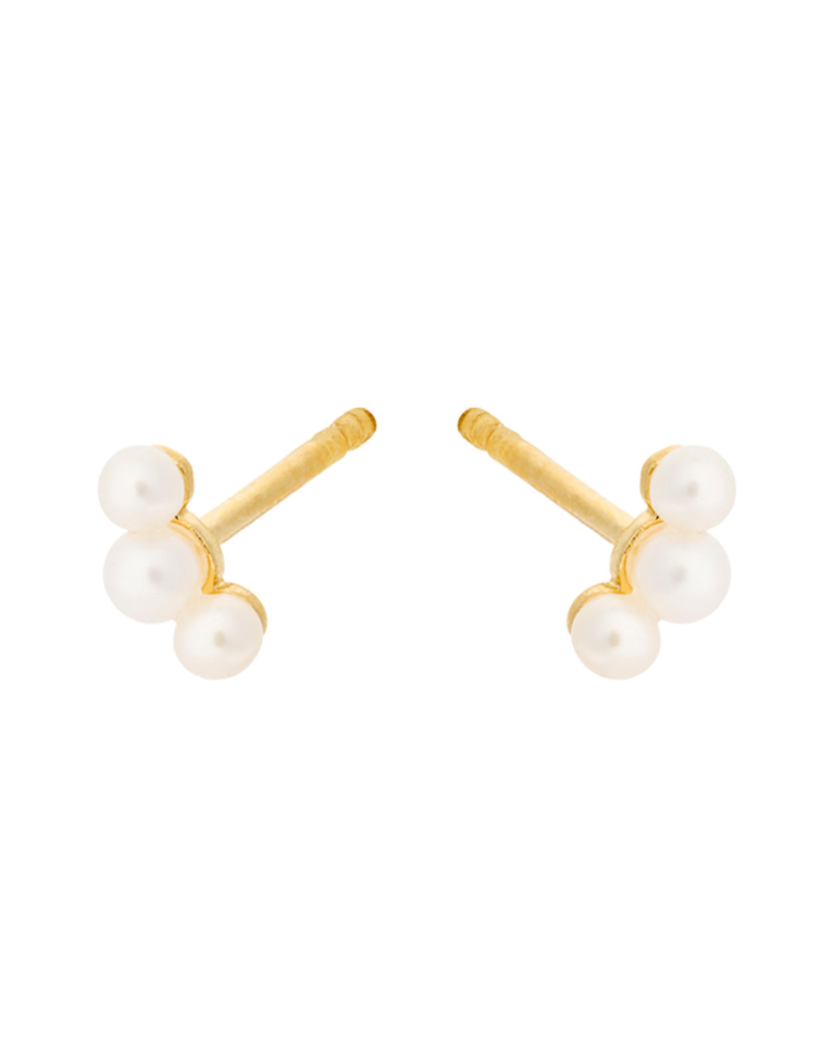 Ohrstecker Ocean Pearl - gold