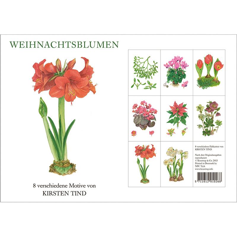 Weihnachtsblumen – Grußkarten 8er Set mit Umschlägen