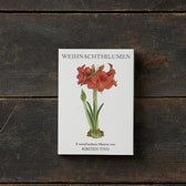 Weihnachtsblumen – Grußkarten 8er Set mit Umschlägen