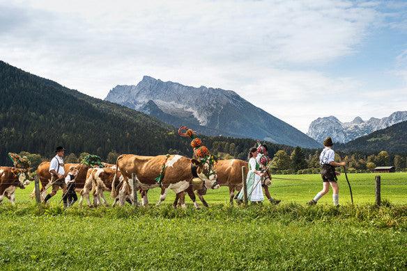 Zu Gast in Bayern