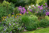 Ich träume von einem Cottage Garten. Verliebt in Rittersporn, Phlox & Fingerhut