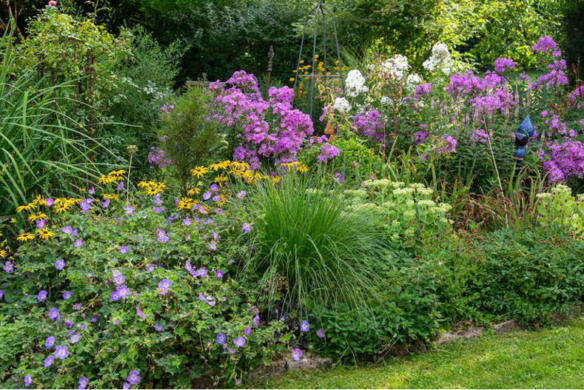 Ich träume von einem Cottage Garten. Verliebt in Rittersporn, Phlox & Fingerhut