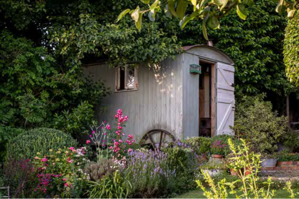Ich träume von einem Cottage Garten. Verliebt in Rittersporn, Phlox & Fingerhut