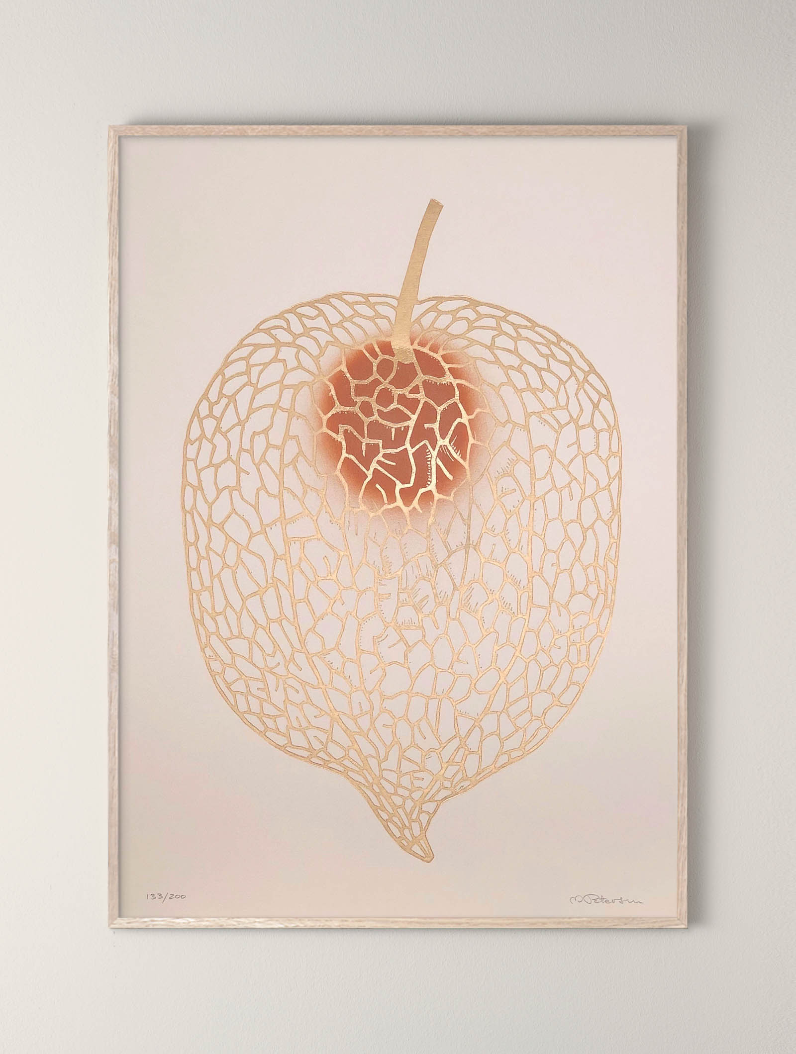 Druck - Lampionblume (Physalis) (50cm x 70cm)