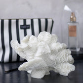 Korallen Fächer - Coral Fan
