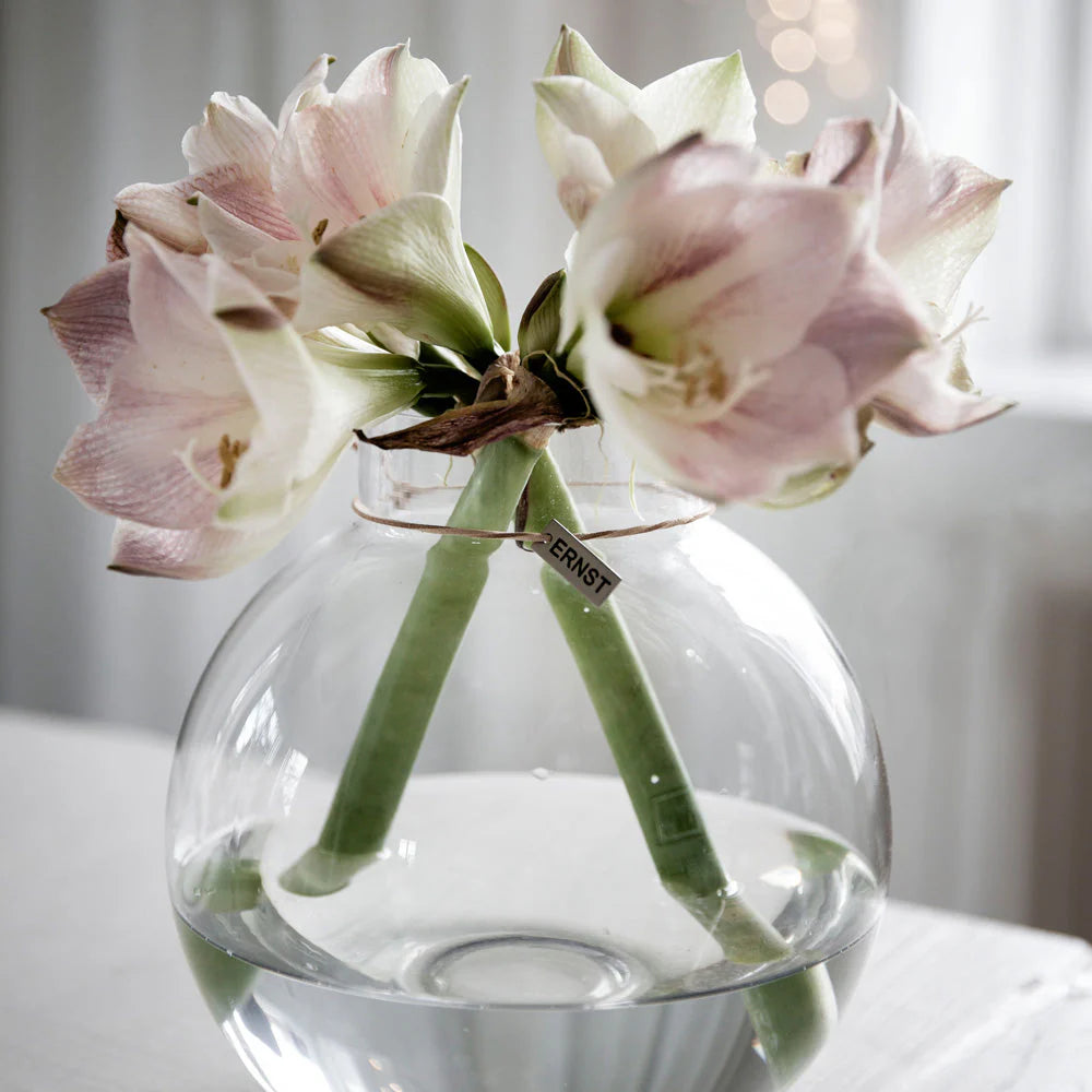 Glas-Kugelvase von ERNST mit Amaryllis
