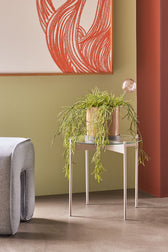 Bewässerungskugel Flora Aqua Globe - Rosa