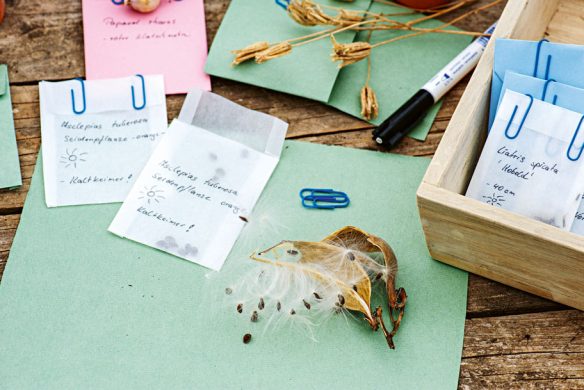 Stauden im Garten. Gestaltungsideen für immerblühende Beete