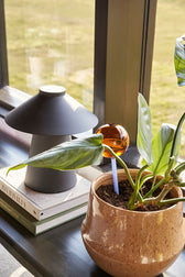 Bewässerungskugel Flora Aqua Globe - Bernstein