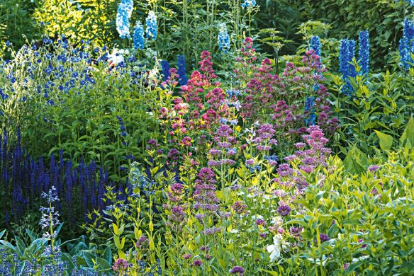 Stauden im Garten. Gestaltungsideen für immerblühende Beete