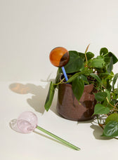 Bewässerungskugel Flora Aqua Globe - Rosa