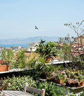 Urban Jungle - Wohnen in Grün