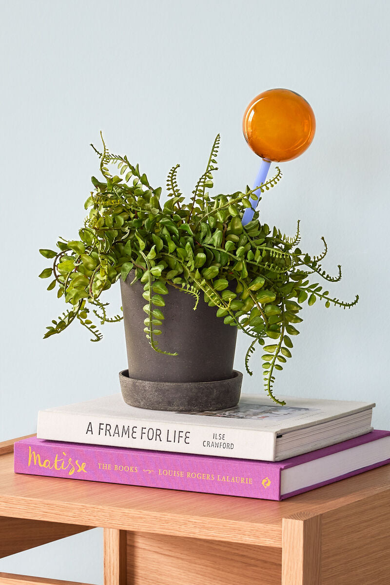 Bewässerungskugel Flora Aqua Globe - Bernstein