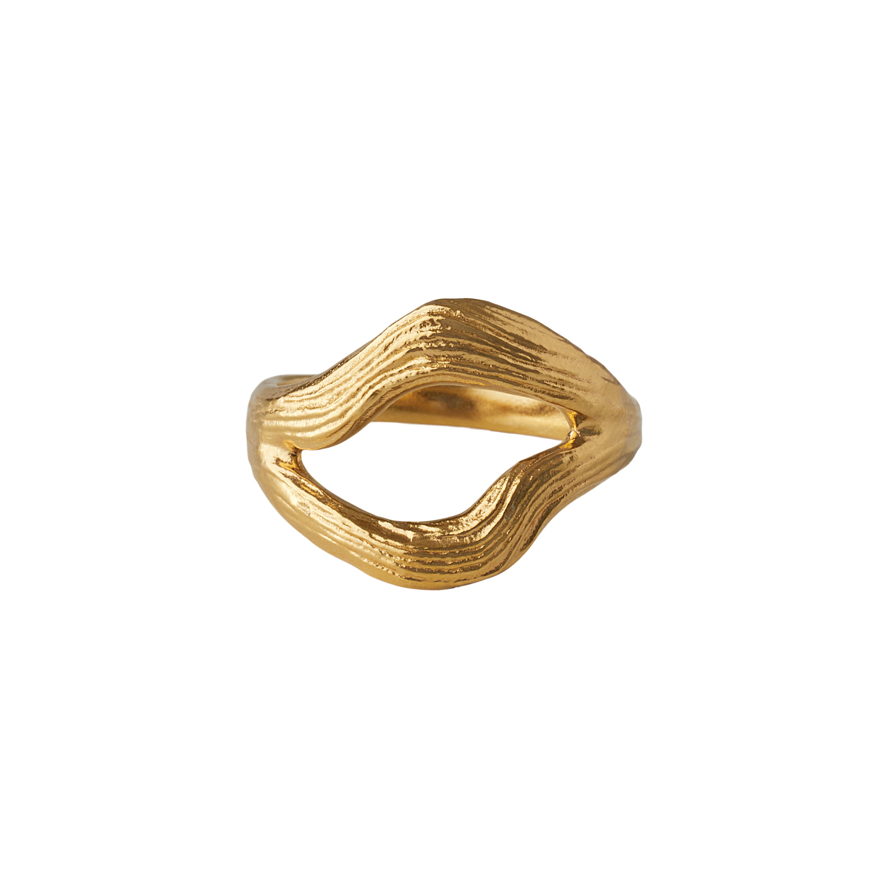 Flowing Dreams Ring Gold – Frontansicht des organischen Designs