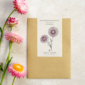Blumensamen - Helichrysum bracteatum - "Silvery Rose" (Strohblume)